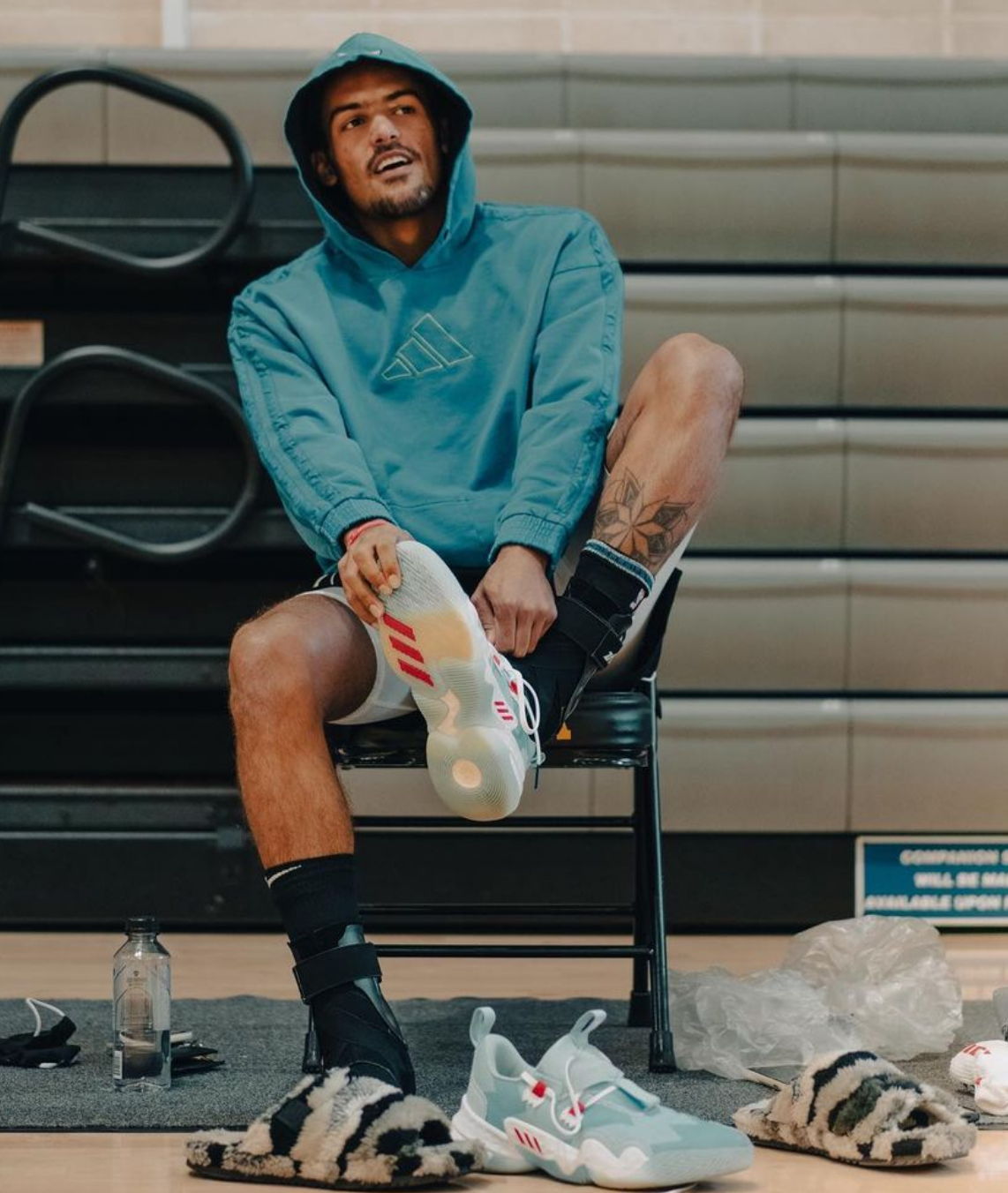Trae Young adidas Collection Trae 2